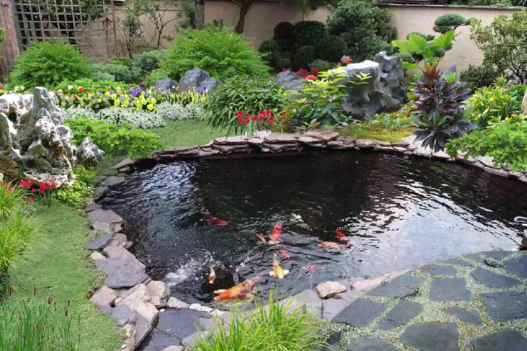 庭院錦鯉魚池建造